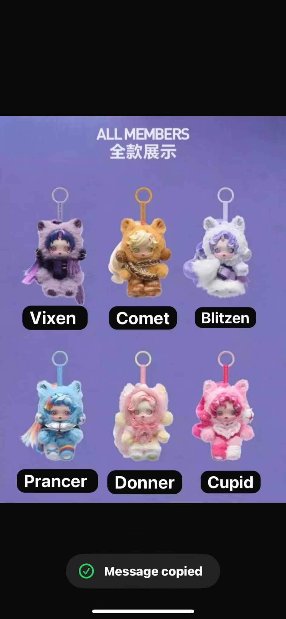 CP14 Skullpanda x My little pony 0202