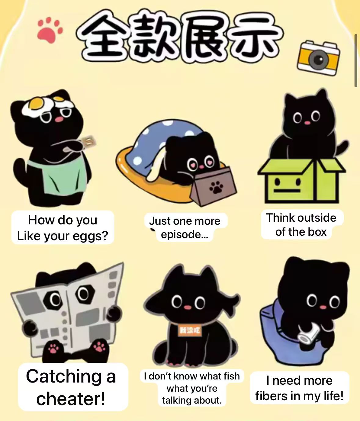 Cp 1 Black Cat 0313