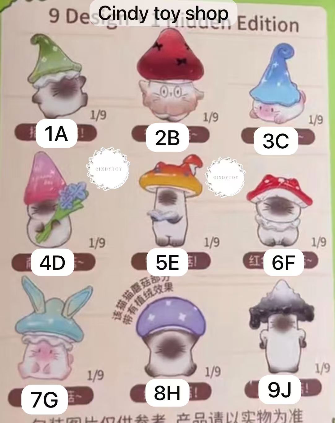 CP1 Cat pal mushroom 0405