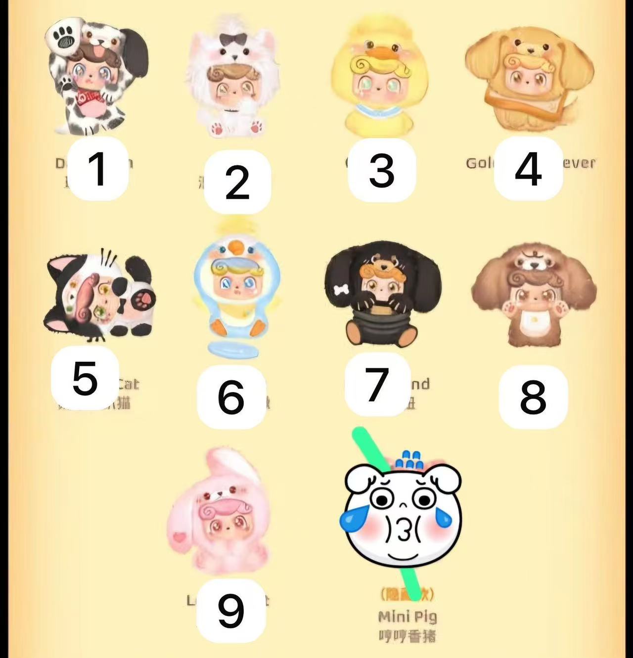 CP2 QKID QPET 0605