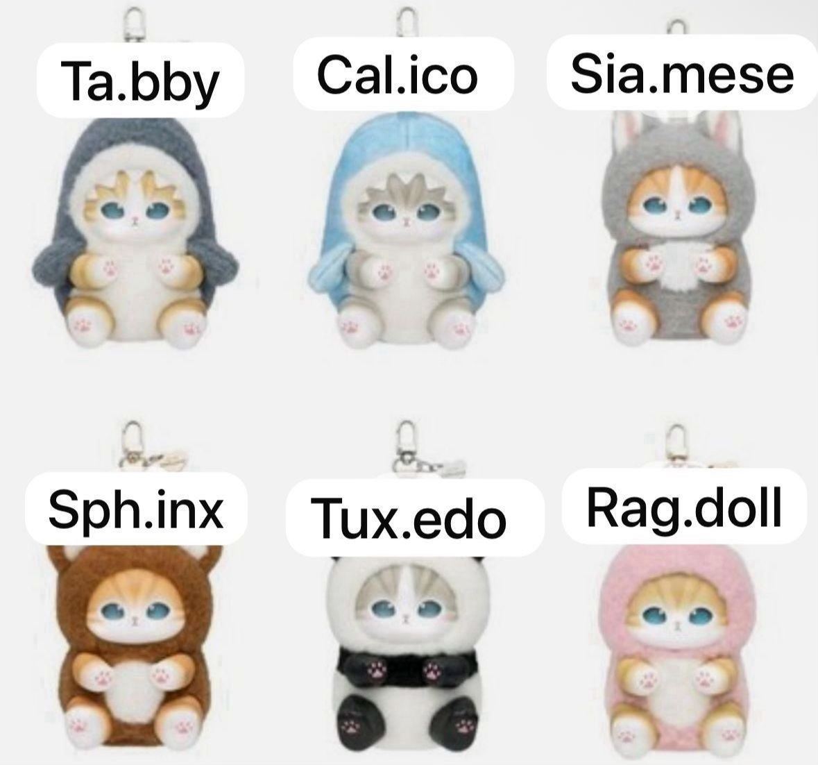 CP 5 Mofusand Kiramekko Fluffy Kittens 12.3