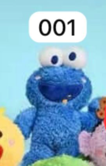 2 cp Sesame Street 0724