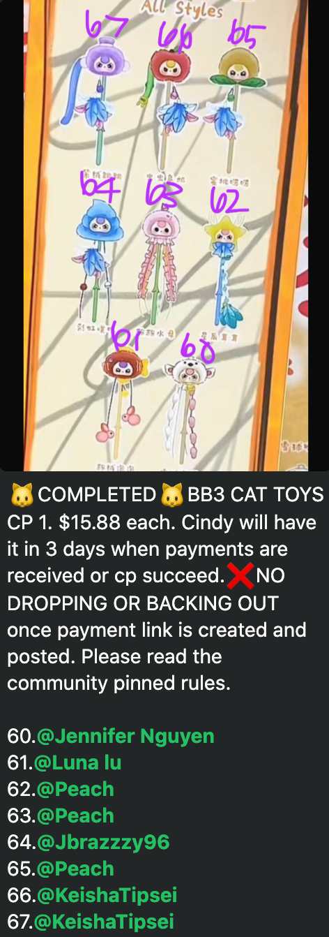 1 cp BB3 CAT TOYS 0729