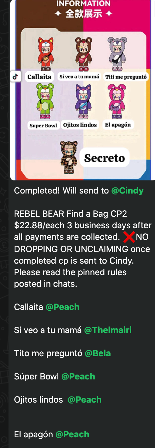 cp 2 REBEL BEAR Find a Bag 1023