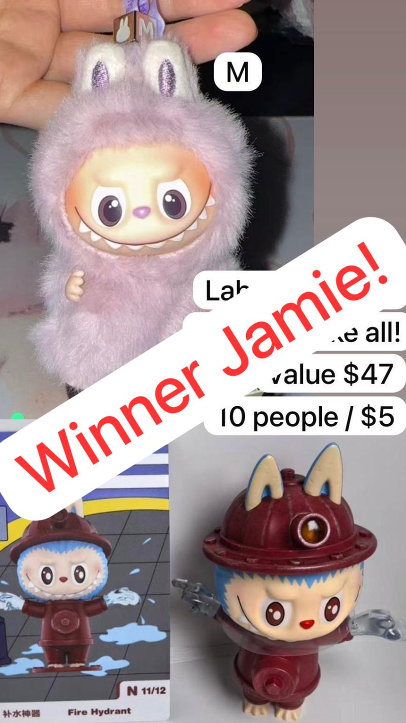 link-labubu winner