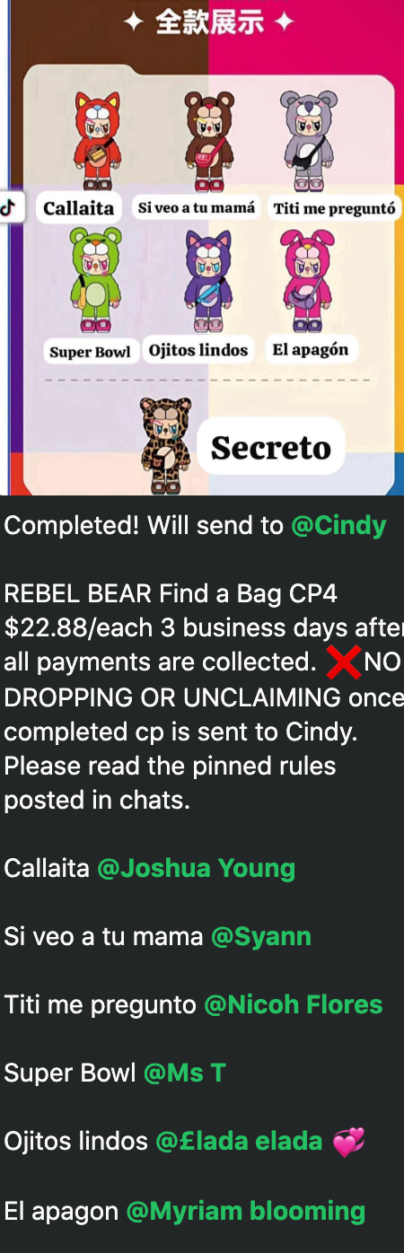 cp 4 REBEL BEAR Find a Bag 1108