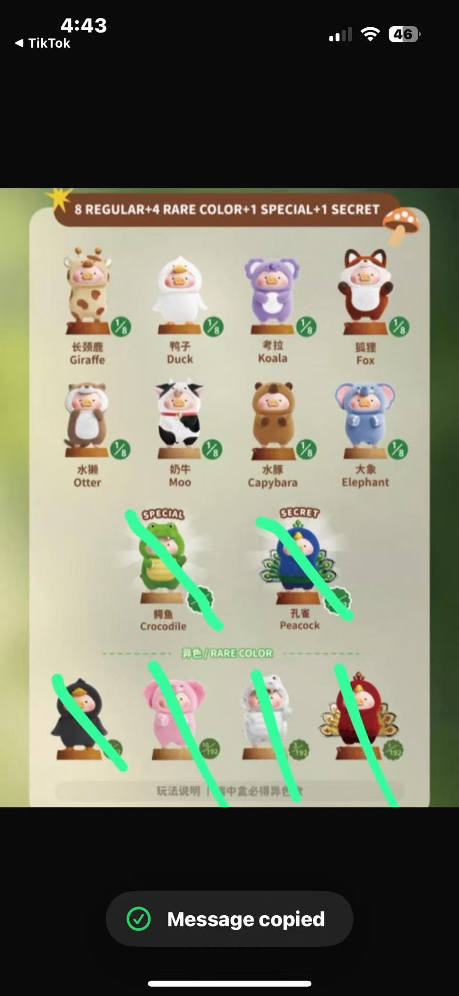 cp1 Lulu animal party  12.24