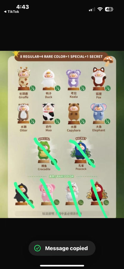cp1 Lulu animal party  12.24