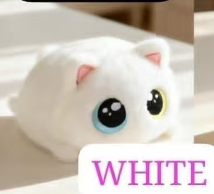 CP3 Chubby cat 0925