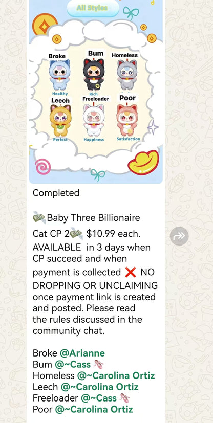 Baby Three Billionaire Cat CP 2  0823
