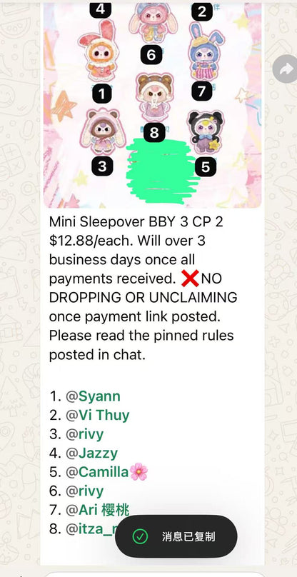 cp 2 Mini Sleepover 0927