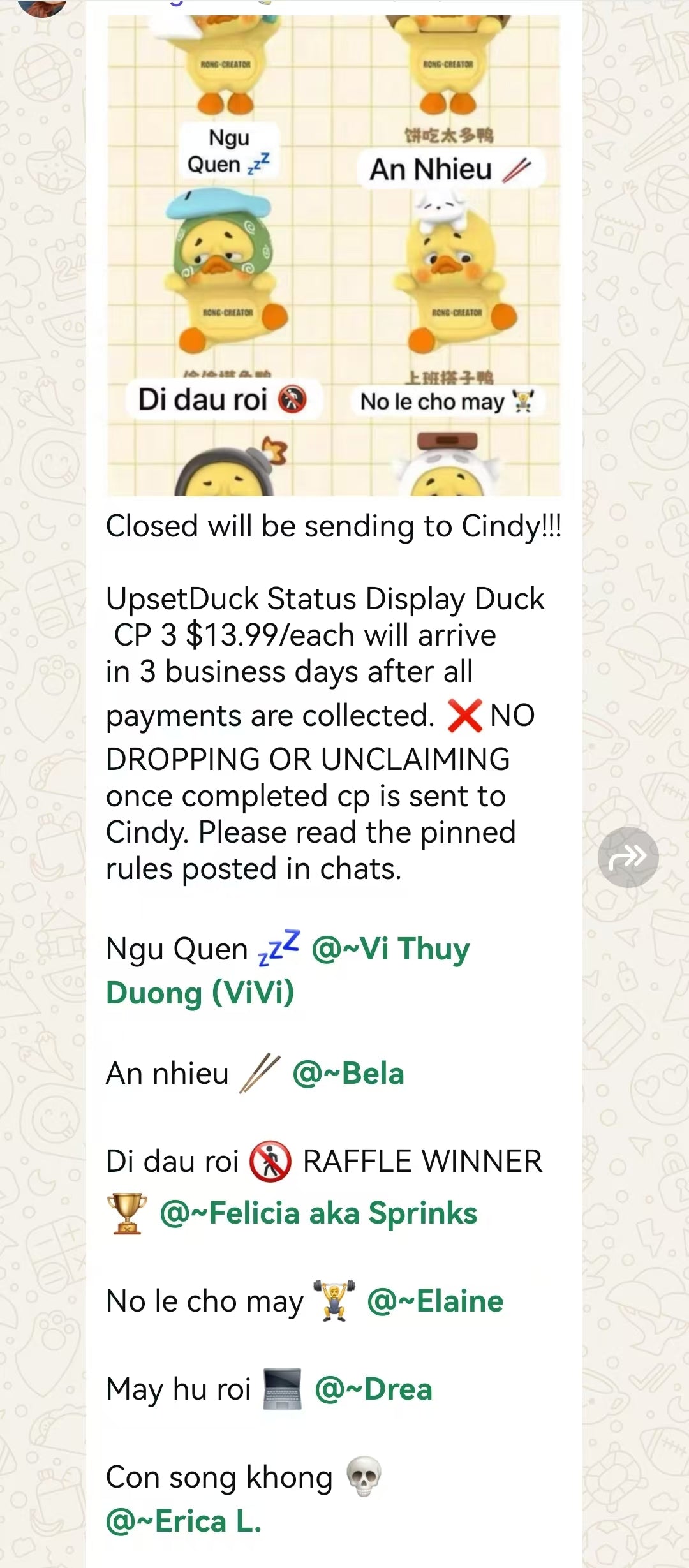 CP 3  UpsetDuck Status Display Duck 1020