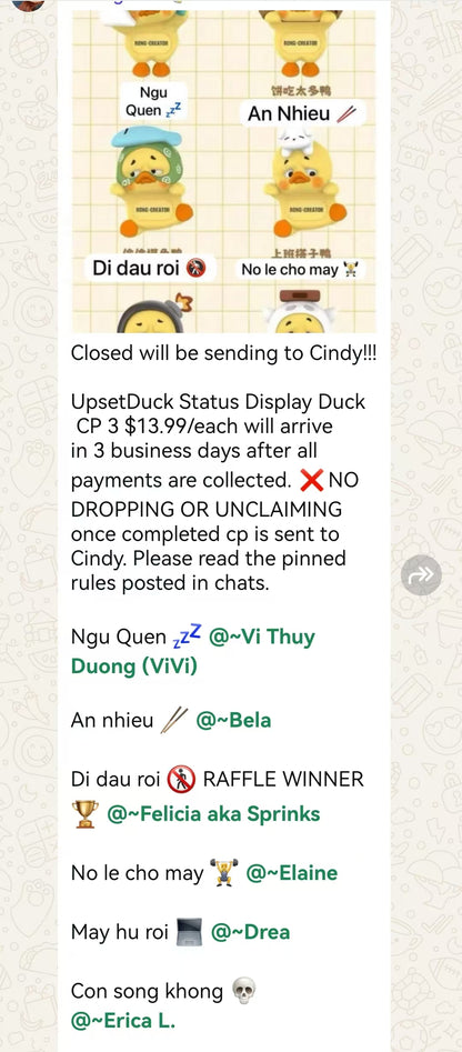 CP 3  UpsetDuck Status Display Duck 1020