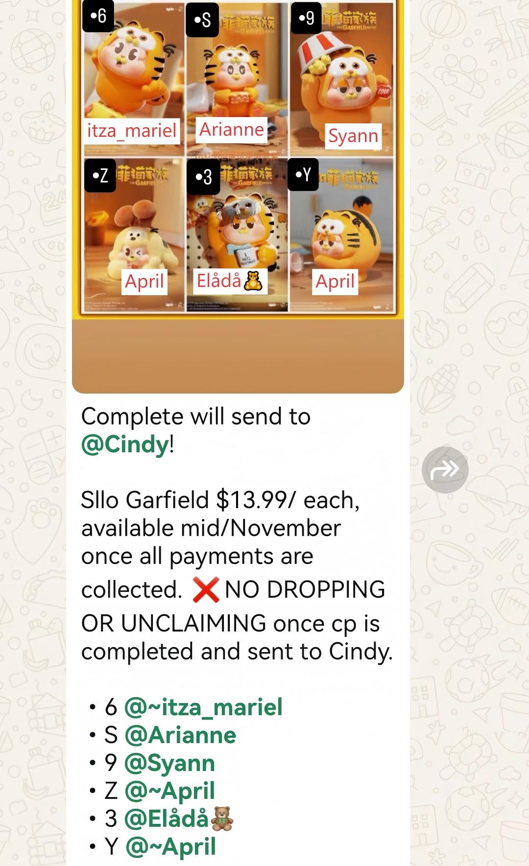 CP1 Sllo Garfield  11.13