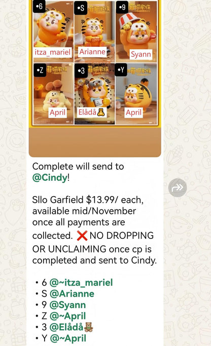 CP1 Sllo Garfield  11.13