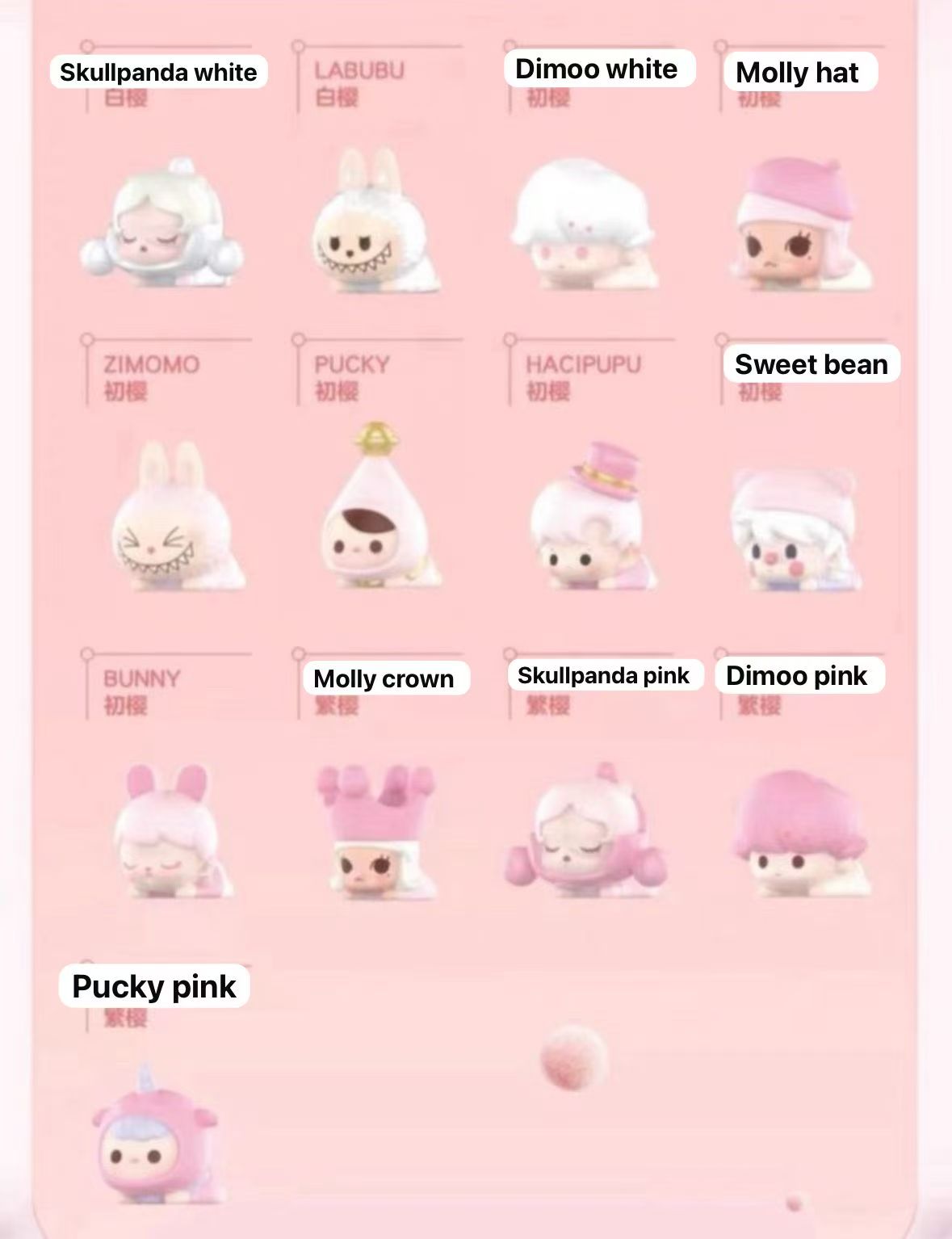 CP1 Popbean Sakura 0125