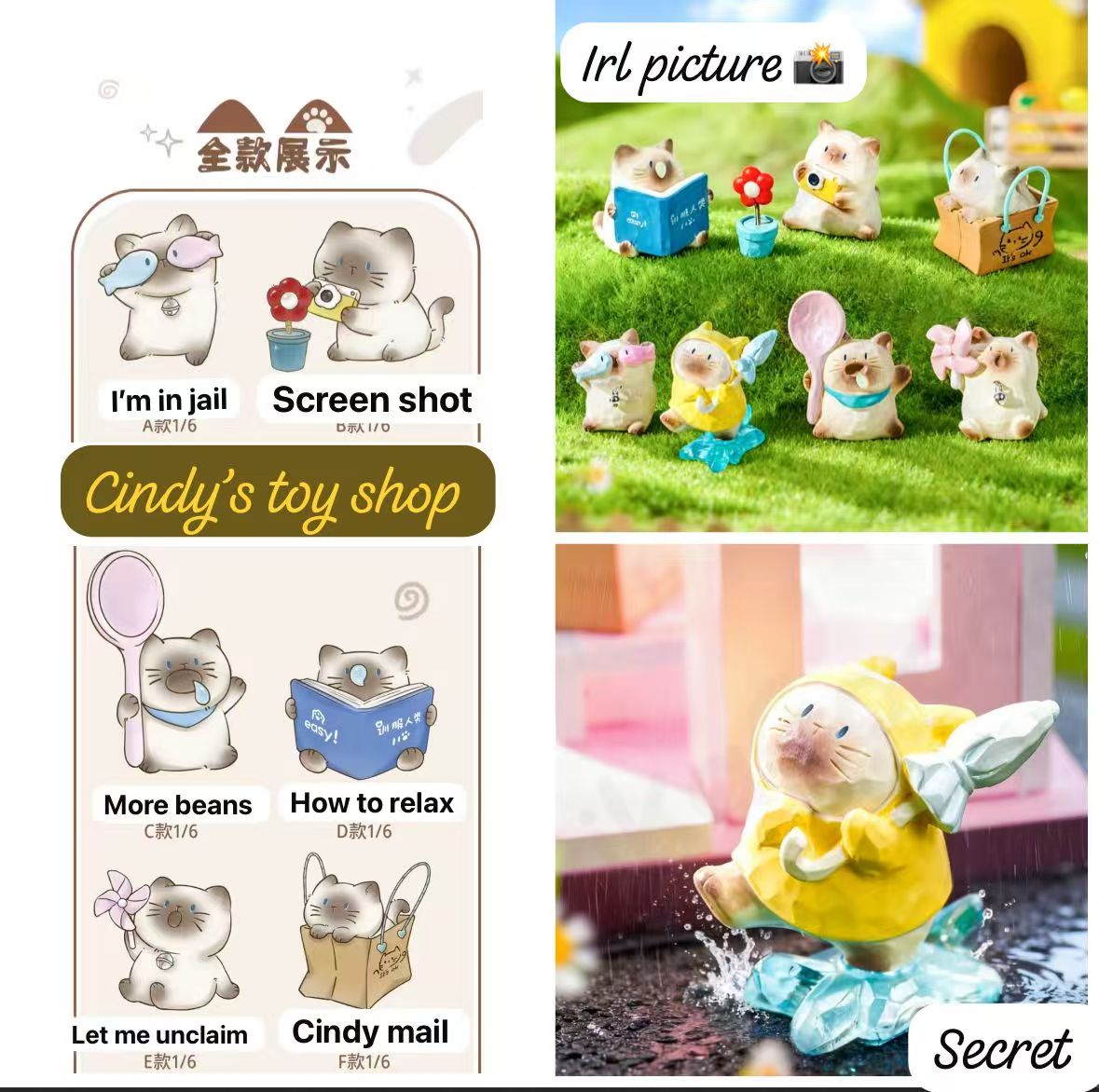 CP2 Kitten daily accompany 0209