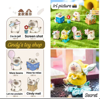 CP2 Kitten daily accompany 0209