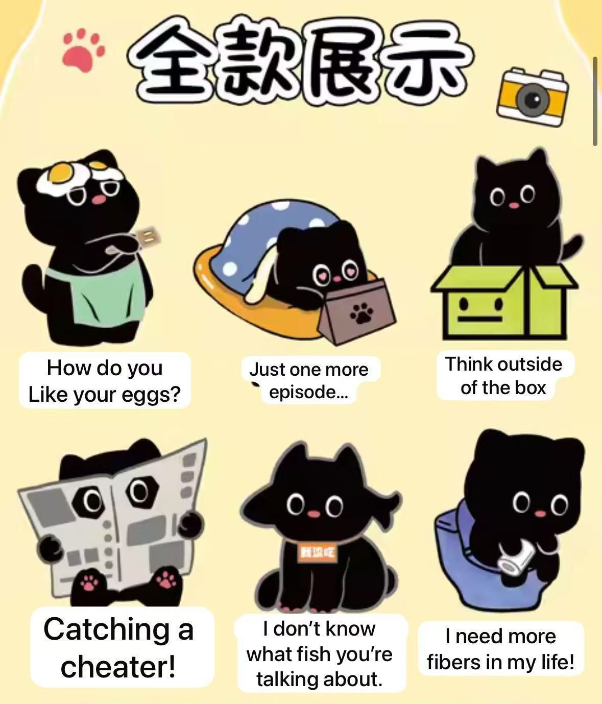 cp 6 Black Cat 0314