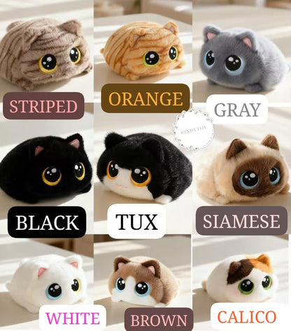 CP1 Chubby cat 0920