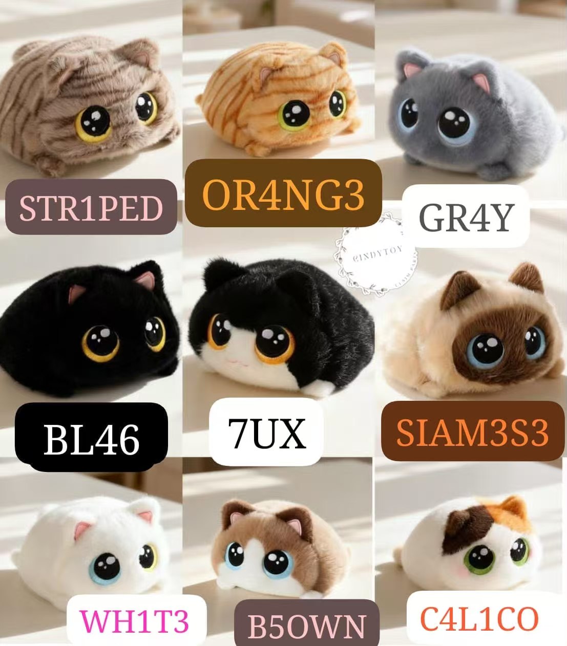 CP2 Chubby cat 0821