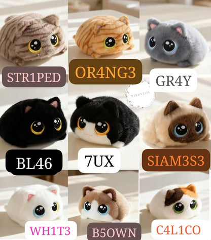 CP2 Chubby cat 0821