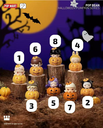 CP7 Popbean pumpkin 0927