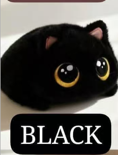 CP3 Chubby cat 0925