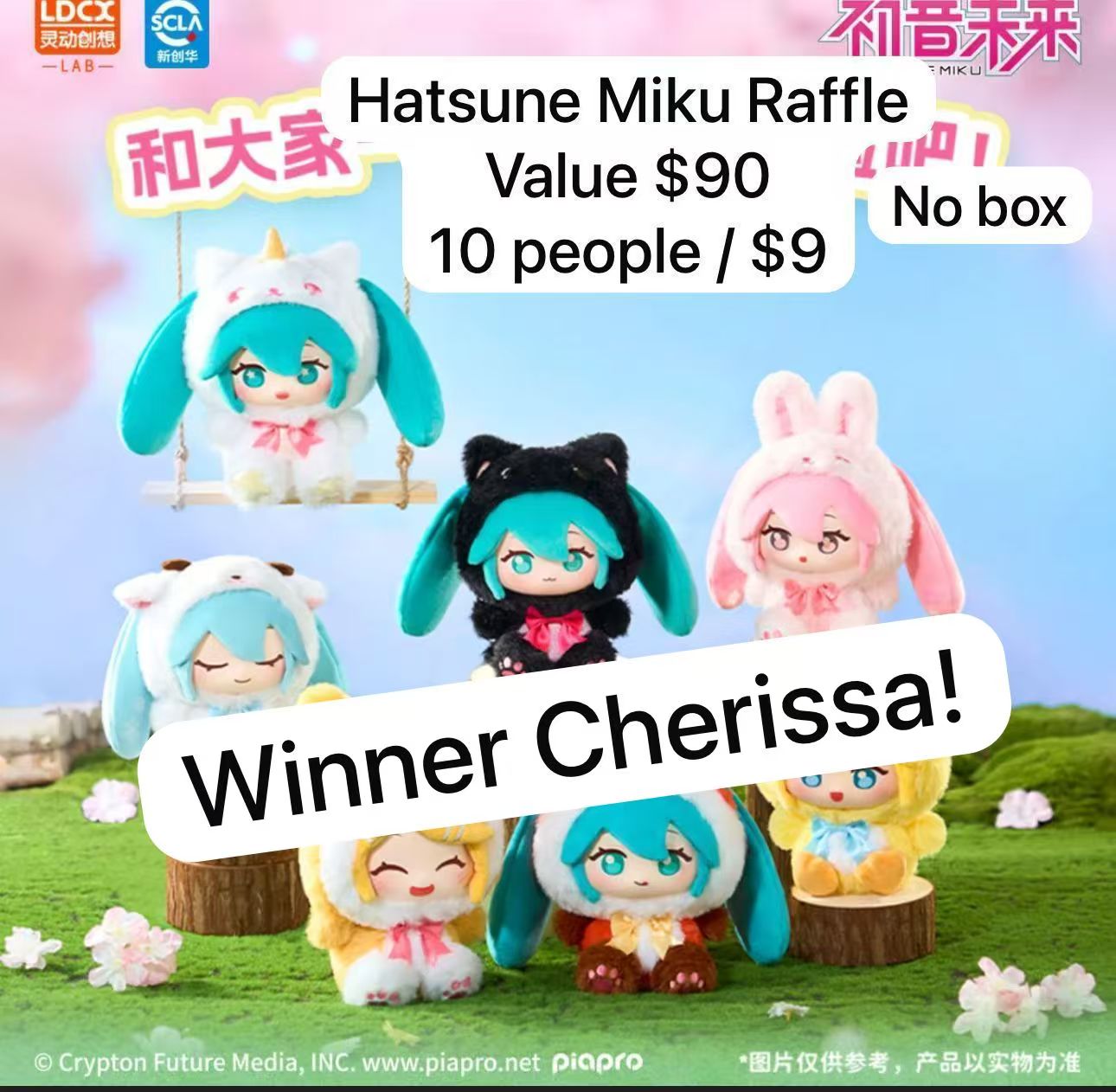 link for raffle