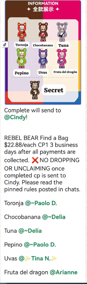 cp1  REBEL BEAR Find a Bag 10.20