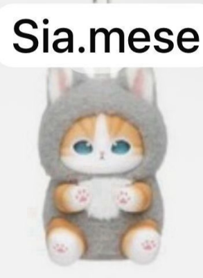 CP 5 Mofusand Kiramekko Fluffy Kittens 12.3