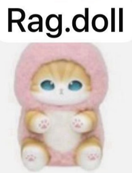 CP 5 Mofusand Kiramekko Fluffy Kittens 12.3