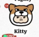 cp2 Puppy bros 12.11