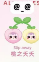 cp6 🍒SAMUEL San Xiao Mao 12.18