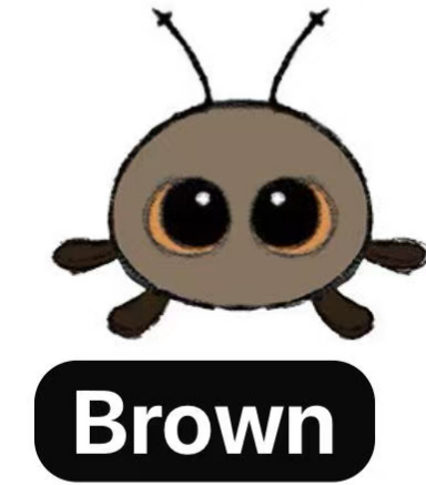 cp6  Insect plush  12.26