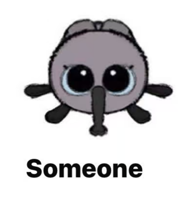 cp5 Insect plush 12.26