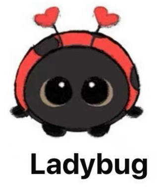 cp4 Insect plush 12.26