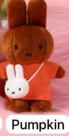 cp5 New Miffy  0118