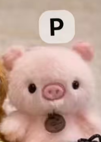 cp1 Xiangdundun animals Keychains 0204