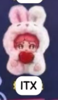 cp7 BUNNY Bean  0204