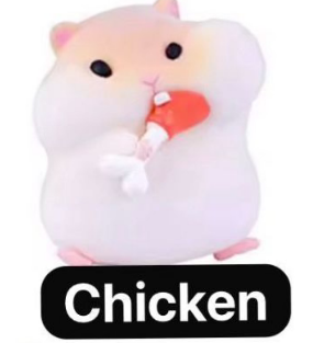 cp3 Clarke the hamster 0331
