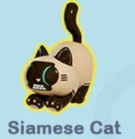 cp1 Papa Cat 0510