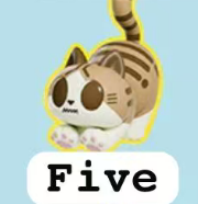 cp2 Papa Cat 0510