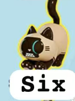 cp2 Papa Cat 0510