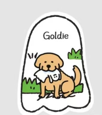 cp1 Ghody the Puppy Pal  1016