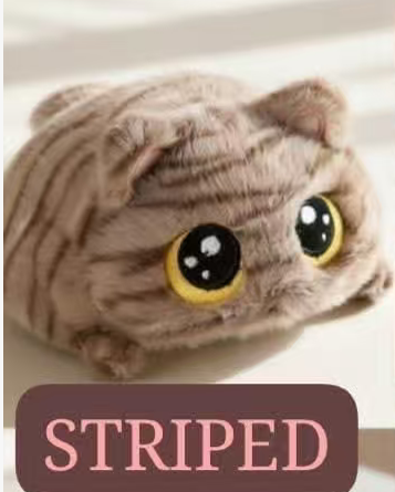 CP3 Chubby cat 0925