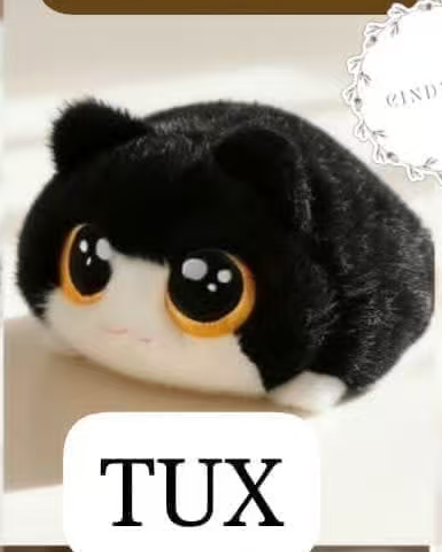 CP3 Chubby cat 0925