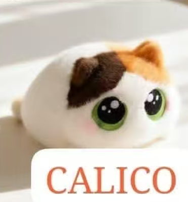 CP3 Chubby cat 0925
