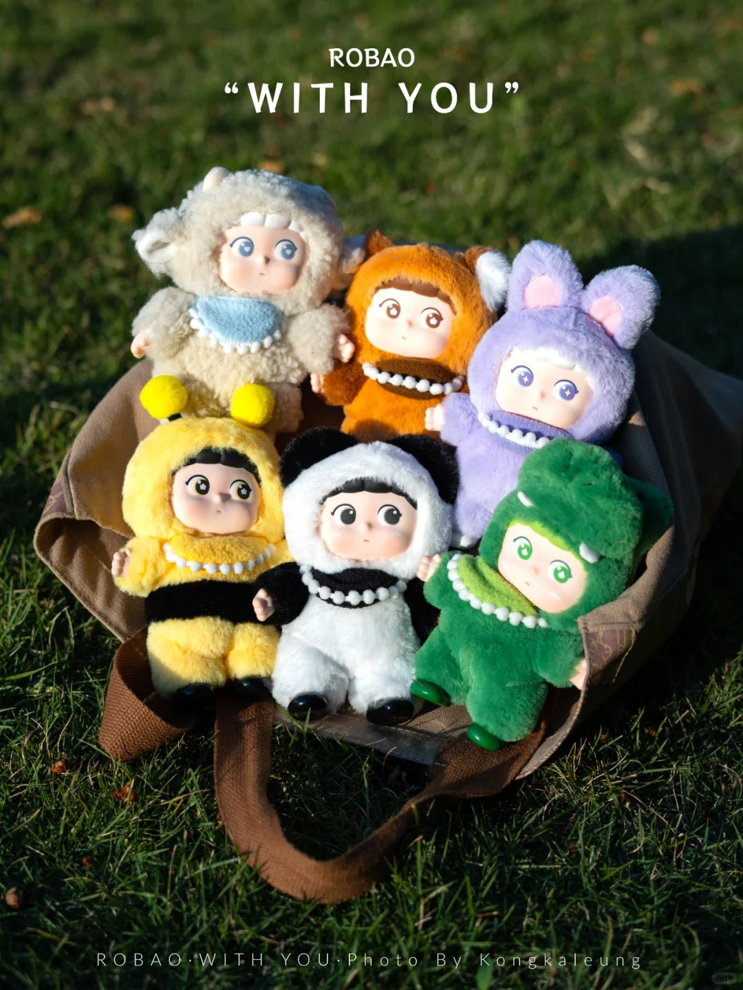 ROBAO with you series plush blind box