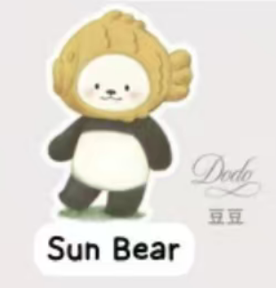 CP 1  PanPan Planet Bear Stand by Me 1005